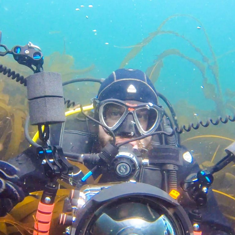 Dive Centre In Milton Keynes PADI Scuba Diving Courses Milton Keynes